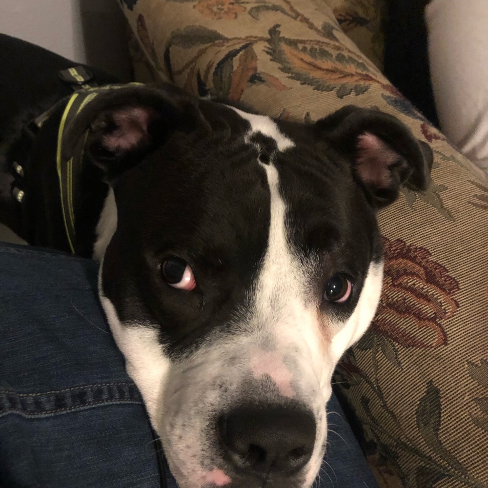 Meet your Posher, Vanessa